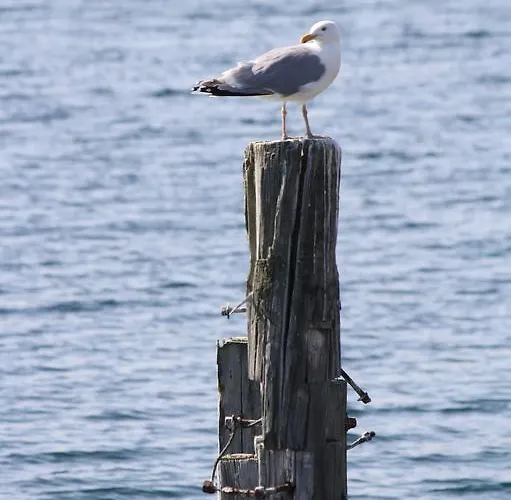 Bed and Breakfast Gunnabuda *