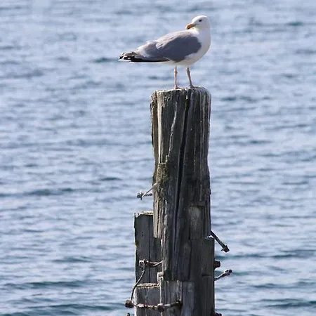住宿加早餐酒店 Gunnabuda *